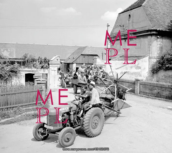 : Harvest. Czechoslovakia - Velen, 1950. Enthusiastic Socialist cooperative : Harvest. Czechoslovakia - Velen, 1950. Enthusiastic Socialist cooperative