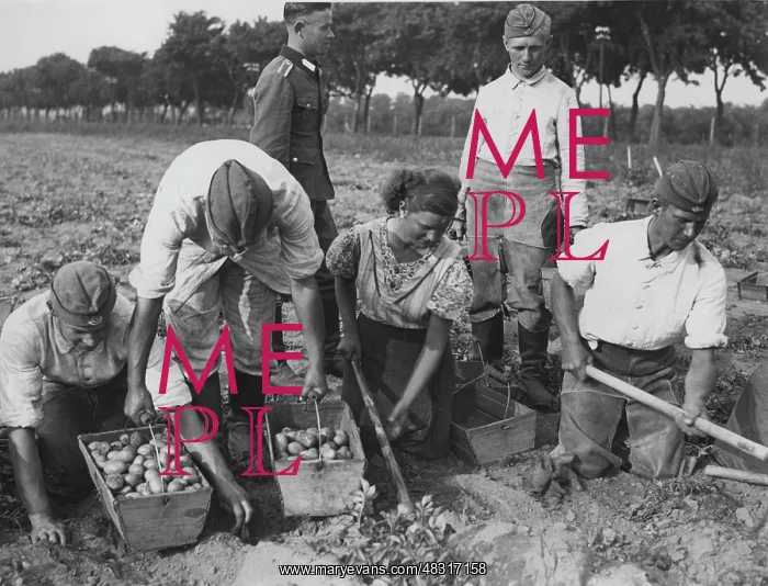 : Harvest deployment of labor service men, 1939 : Harvest deployment of labor service men, 1939