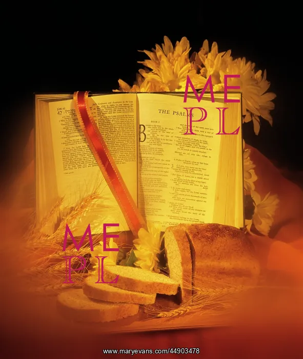 : HARVEST STILL LIFE WITH BIBLE BREAD WHEAT : HARVEST STILL LIFE WITH BIBLE BREAD WHEAT