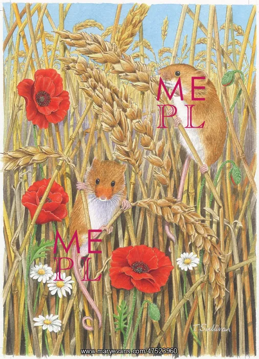 : Harvest Mice and Poppies : Harvest Mice and Poppies