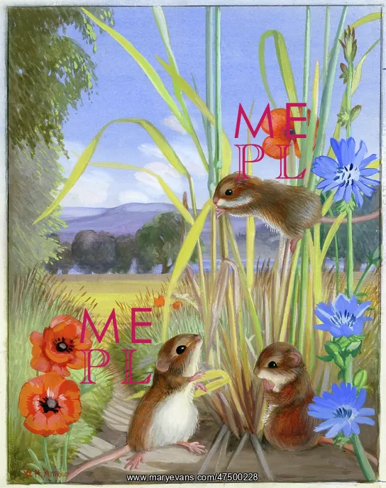 : Harvest Mice with poppies and cornflowers : Harvest Mice with poppies and cornflowers