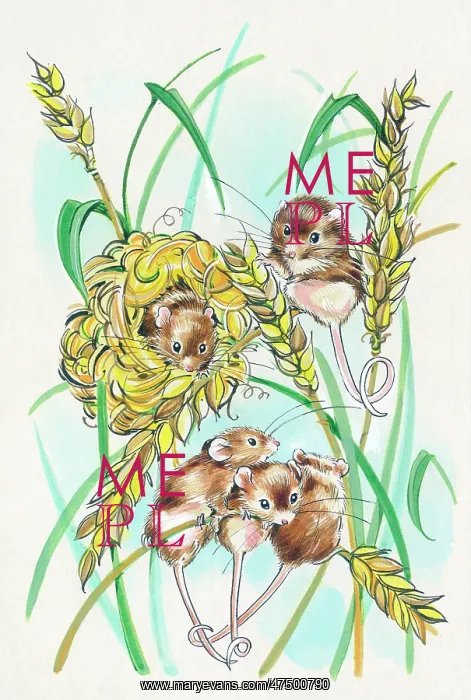  : Harvest Mice on stalks of wheat