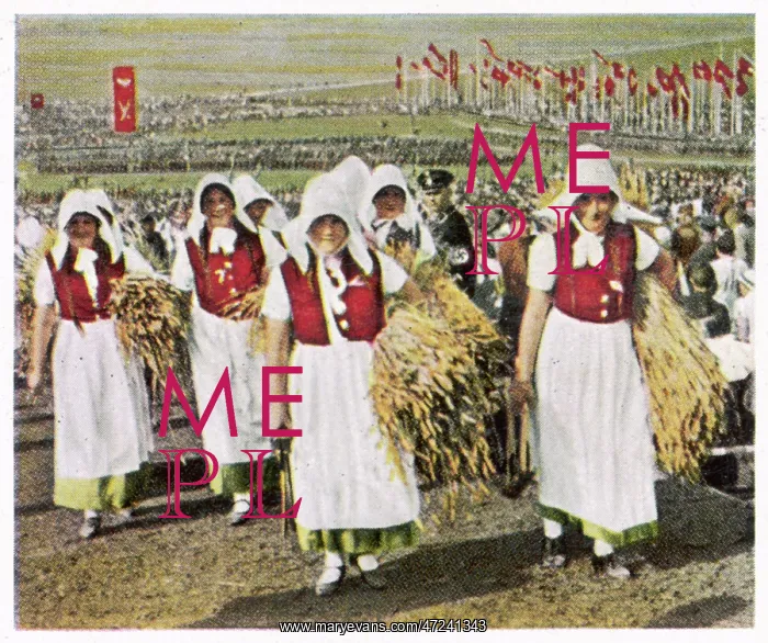 : HARVEST THANKSGIVING : HARVEST THANKSGIVING