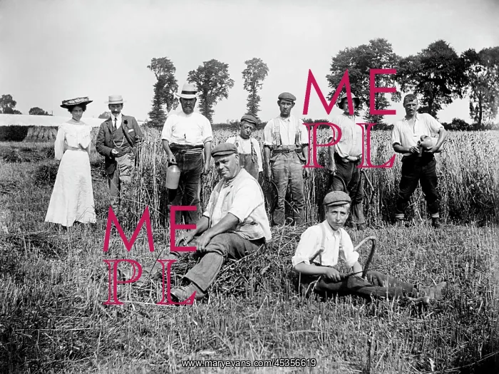 : Harvest time : Harvest time