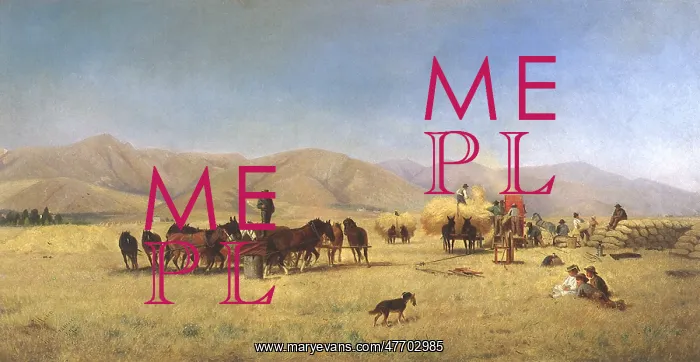  : Harvest Time