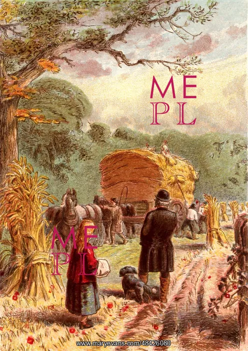 : Harvest time. Loading sheaves of corn onto a horse-drawn : Harvest time. Loading sheaves of corn onto a horse-drawn