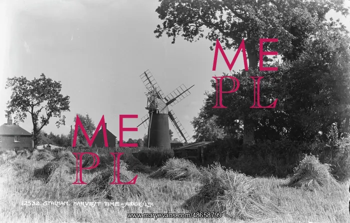 : Harvest Time at Stalham : Harvest Time at Stalham