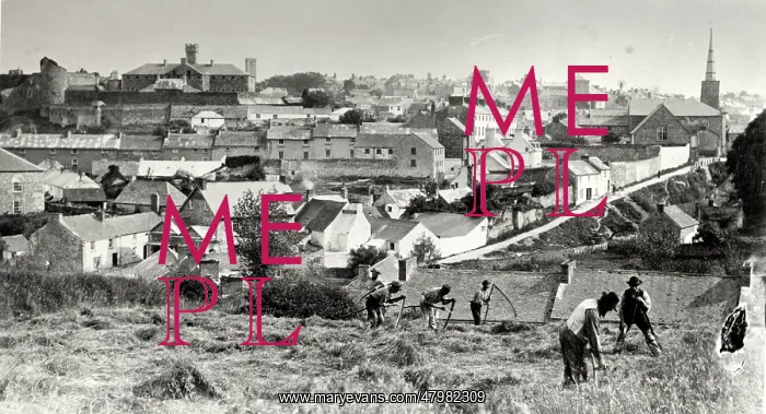 : Harvest workers, Haverfordwest, Pembrokeshire, South Wales : Harvest workers, Haverfordwest, Pembrokeshire, South Wales