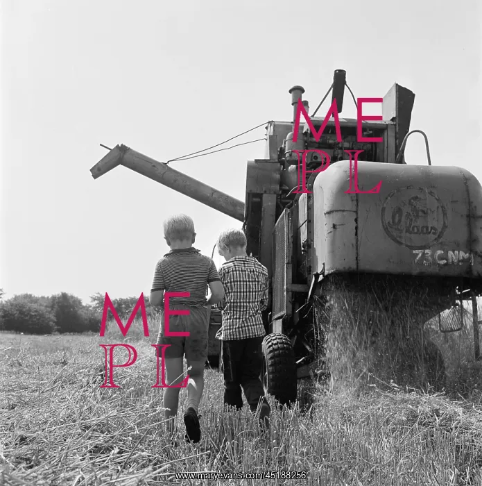 : Harvesting : Harvesting