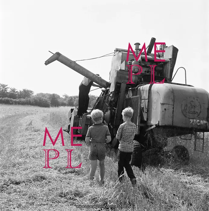 : Harvesting : Harvesting