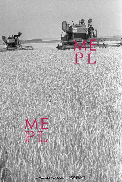 : Harvesting : Harvesting