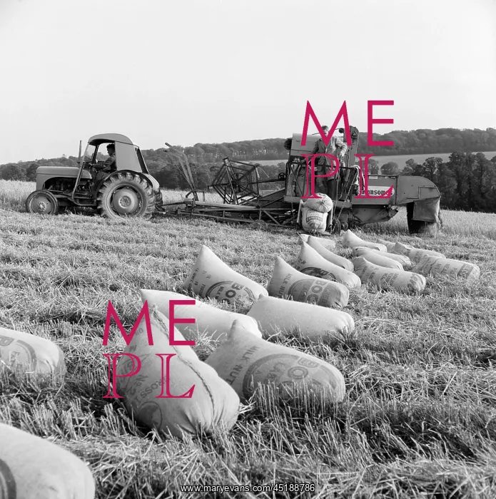 : Harvesting Crops : Harvesting Crops