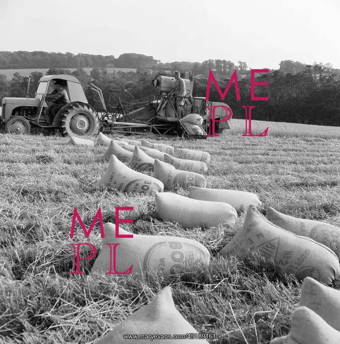 : Harvesting Crops : Harvesting Crops