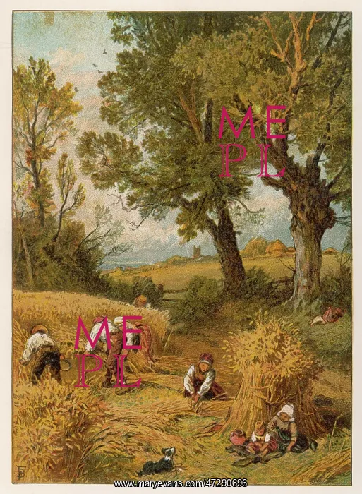 : HARVESTING BY HAND : HARVESTING BY HAND