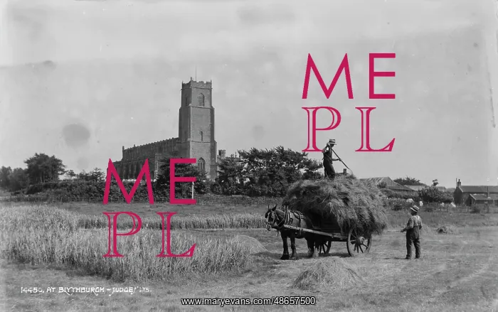 : Harvesting Hay at Blythburgh : Harvesting Hay at Blythburgh