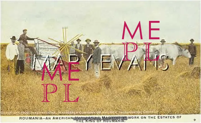 : HARVESTING IN ROMANIA : HARVESTING IN ROMANIA