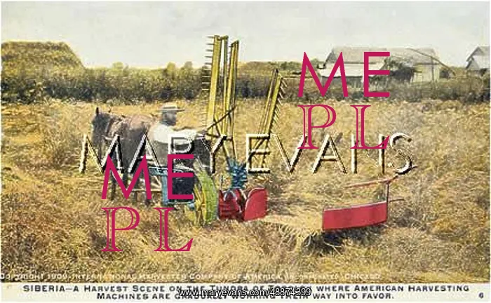 : HARVESTING IN SIBERIA : HARVESTING IN SIBERIA