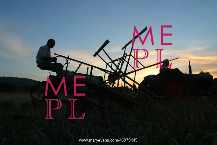  : Harvesting on the South Downs