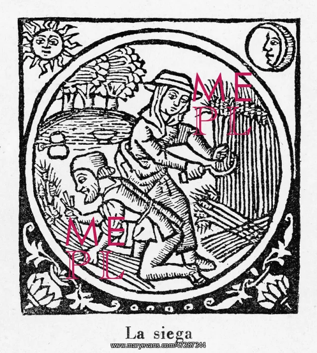 : Harvesting, Spain 1511 : Harvesting, Spain 1511