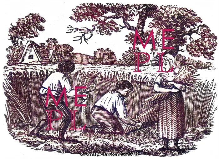 : Harvesting wheat, c. 1800 : Harvesting wheat, c. 1800