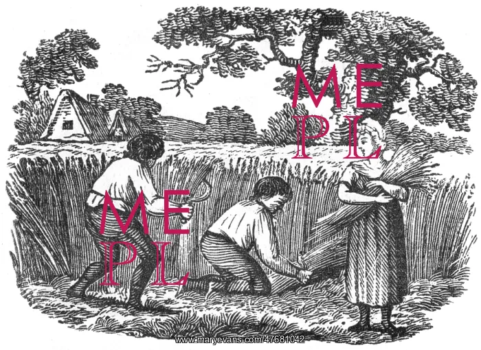 : Harvesting wheat, c. 1800 : Harvesting wheat, c. 1800