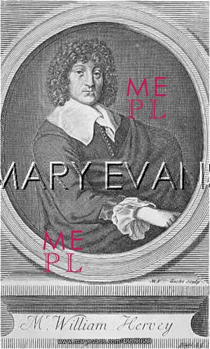 : HARVEY / VAN DER GUCHT : HARVEY / VAN DER GUCHT