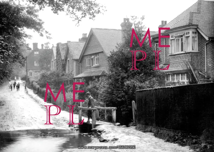  : Haslemere, Camelsdale, the Stream 1910