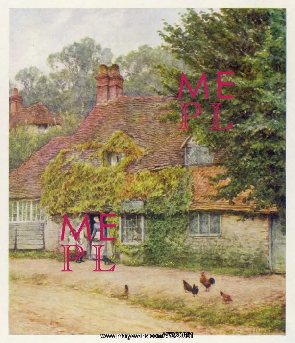 : HASLEMERE / FISH SHOP 1903 : HASLEMERE / FISH SHOP 1903