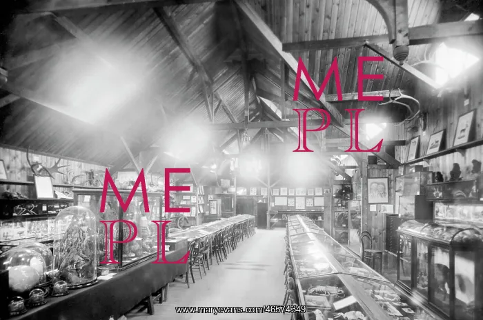  : Haslemere, the Museum 1899