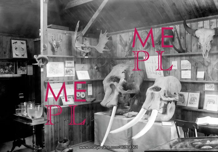  : Haslemere, the Museum 1899