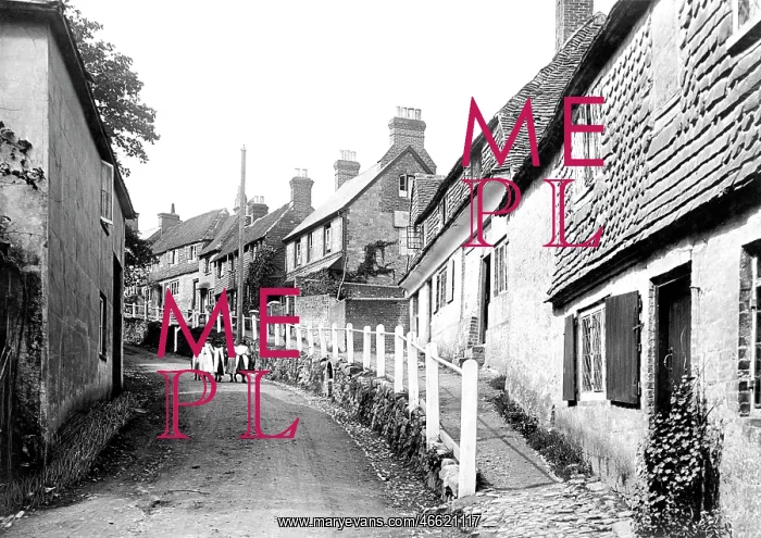  : Haslemere, Shepherds Hill c1900