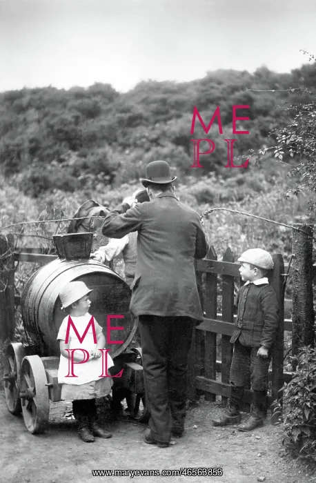  : Haslemere, the Water Seller 1888