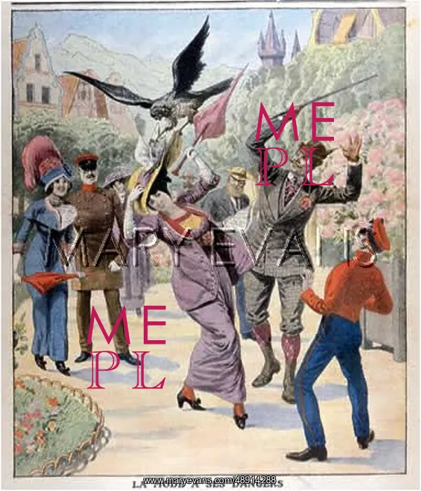 : HAT PIGEON ATTACKED : HAT PIGEON ATTACKED