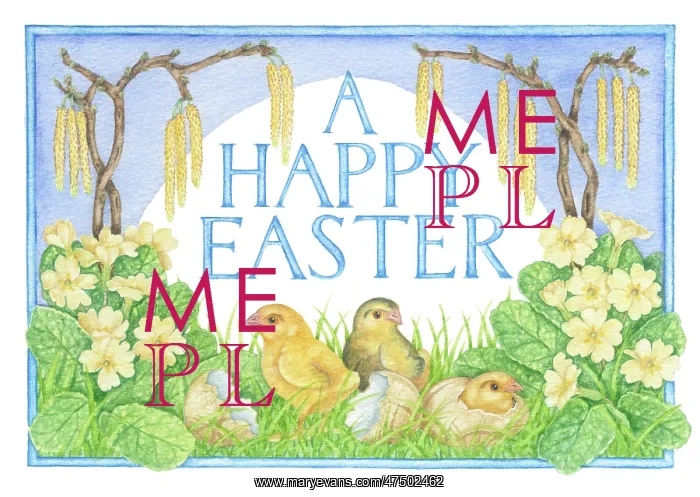 : Hatching chicks with primroses and catkins : Hatching chicks with primroses and catkins