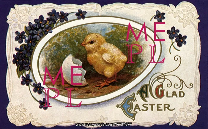  : Hatching Easter Chick