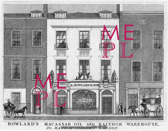 : HATTON GARDEN : HATTON GARDEN