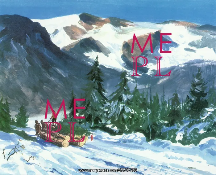  : Hauling a Christmas Tree