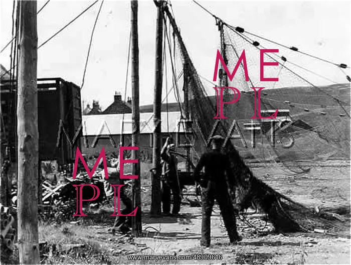 : HAULING SALMON NETS : HAULING SALMON NETS