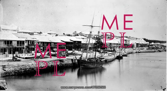 : Hauptstrasse, Hamilton, Bermuda 1873 : Hauptstrasse, Hamilton, Bermuda 1873