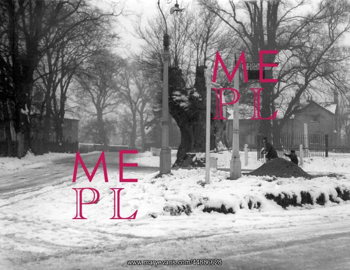 : HAVERING IN THE SNOW : HAVERING IN THE SNOW