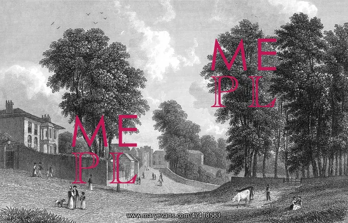  : HAVERSTOCK HILL