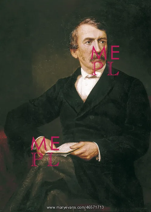  : HAVILL, Frederick (-1884). David Livingstone
