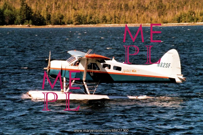 : de Havilland Canada DHC-2 Beaver N82SF : de Havilland Canada DHC-2 Beaver N82SF