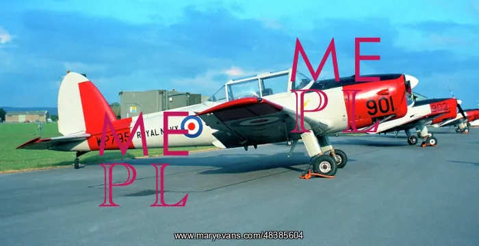 : de Havilland Canada DHC.1 Chipmunk T.10 WP795 : de Havilland Canada DHC.1 Chipmunk T.10 WP795