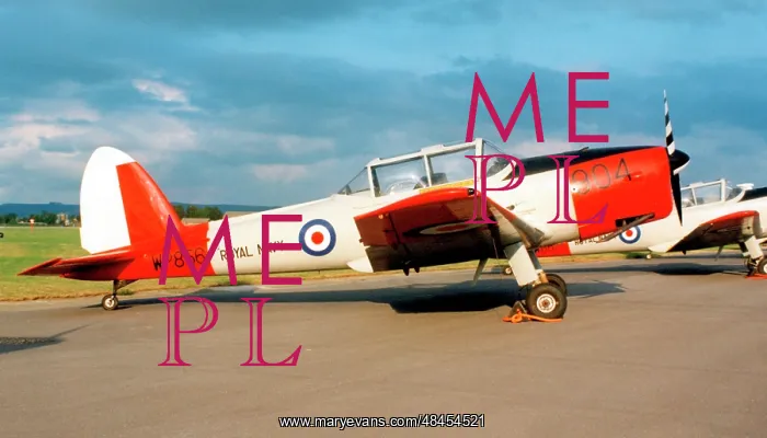 : de Havilland Canada DHC.1 Chipmunk T.10 WP856 / 904 : de Havilland Canada DHC.1 Chipmunk T.10 WP856 / 904