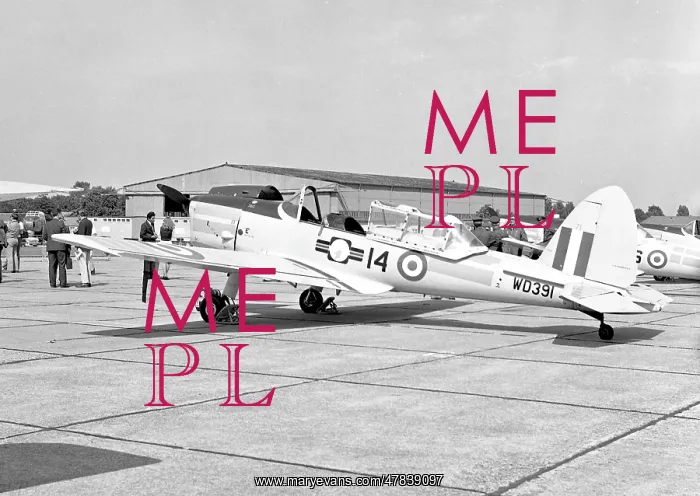 : de Havilland Chipmunk T.10 WD391 : de Havilland Chipmunk T.10 WD391
