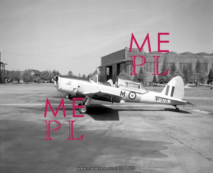 : de Havilland Chipmunk T.10 WP976 : de Havilland Chipmunk T.10 WP976