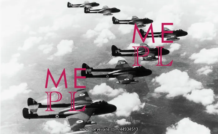 : de Havilland DH-100 Vampire FB-5 : de Havilland DH-100 Vampire FB-5
