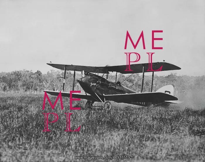 : de Havilland DH-60G Gypsy Moth : de Havilland DH-60G Gypsy Moth