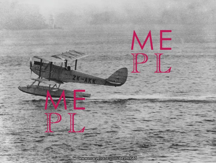 : de Havilland DH-60G Gypsy Moth : de Havilland DH-60G Gypsy Moth